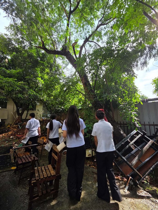 UNO, DOS, TREES: IAC Conducts Campus-Wide Tree Inventory