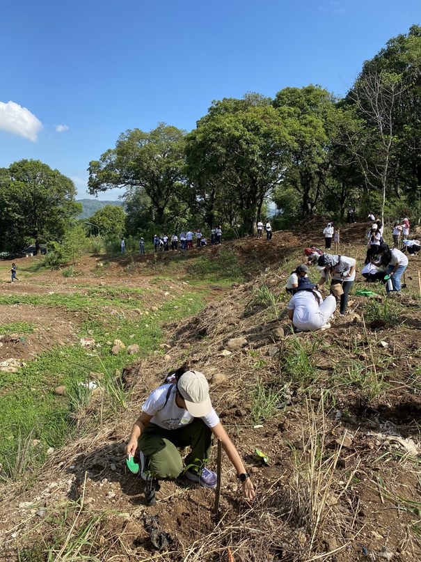 Rotaract Treelane: Growing a Greener Future, One Tree At A Time